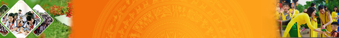 top banner