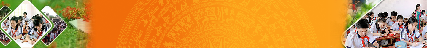 top banner